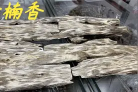 网友都问老林一棵奇楠有多少香，有什么用处，今天老林带大家看看视频封面