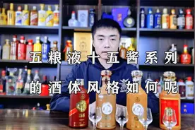 今天带大家品鉴一下五粮液十五酱系列的四款酱香型白酒！视频封面
