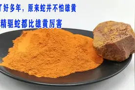 被骗了好多年，原来蛇并不怕雄黄，风油精驱蛇都比雄黄厉害视频封面