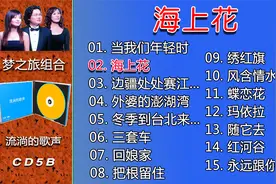 罗大佑创作的歌曲《海上花》台湾同名电影主题曲 优美动听视频封面