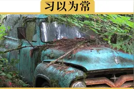 多久洗一次车最好？老司机来告诉你视频封面