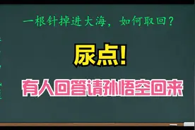 华为面试题：一根针掉进大海如何取回？一位扫地阿姨逆袭全过程视频封面