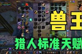 【魔兽世界TBC】兽王猎人标准天赋，这回打副本看谁敢不给我工资视频封面
