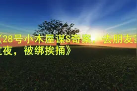 28号小木屋谋S奇案，去朋友家过夜，被绑挨捅视频封面