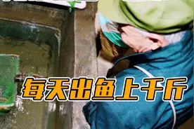 重庆老汉掘地16米挖出“鱼泉”，每天出鱼上千斤，纪录片视频封面