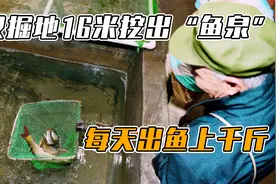 重庆老汉掘地16米挖出“鱼泉”，每天出鱼上千斤，纪录片视频封面