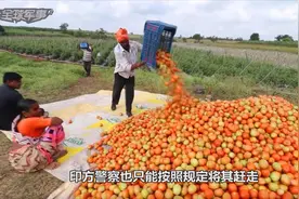 印度进入紧急状态，大量农产品无法运出，只能等待腐烂损失惨重视频封面