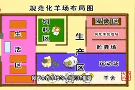 养羊场选址和布局：哪些地方可以建养羊场，哪些地方不能建呢？视频封面