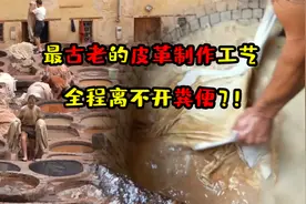 最古老的皮革制作工艺，全程离不开粪便，工人深受其害视频封面