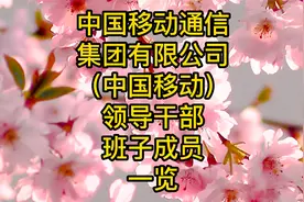 中国移动通信集团有限公司（中国移动）领导干部班子成员一览视频封面