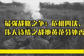 最强战略之争：危机四伏，伟人诗情之战地黄花分外香视频封面