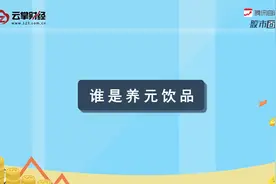 养元饮品[603156]视频封面