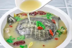 大厨分享清炖甲鱼的家常做法，学会这一招，甲鱼鲜嫩无腥特别入味视频封面