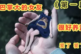 巴掌大的女友贼可爱 也很好养活！爱了爱了 看完我也想要个！视频封面