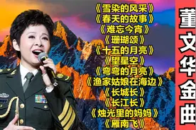 12首【董文华】经典老歌联唱，70年代最好听的怀旧老歌，原唱金曲视频封面