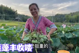 娜姐今天是妥妥的老顽童，秋天农村的有趣生活，带你回忆快乐童年视频封面