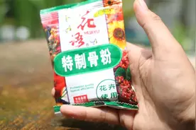 促进植物开花用什么肥料？园艺师教你，用特制骨粉，什么花都通用视频封面