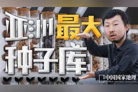 如果有一天世界末日了，请记得来这里唤醒它们视频封面