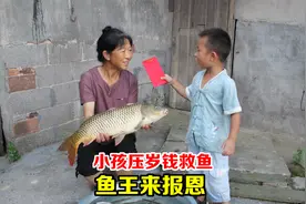 故事：4岁小孩救了条鲤鱼，不料竟是千年鱼王，为报恩送小孩宝贝视频封面