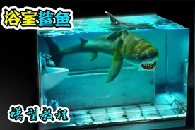 模型：鲨鱼被困在浴室十年，他都是吃什么活着的呢？视频封面