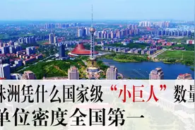 潇湘眼 | 株洲凭什么国家级“小巨人”数量，单位密度全国第一视频封面