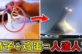 油管博主把精子注射进鸡蛋里！创造了一个人造生物？视频封面