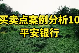 【买卖点案例10】平安银行走势如何？银行股能否成为防御方向？视频封面