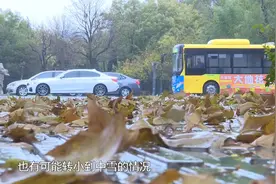 预计寒潮23日白天结束！今起山东迎来大风降温 半岛地区有小雨雪视频封面