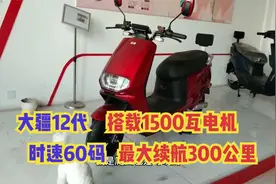 大疆12代，搭载1500瓦电机，时速60码，最大续航300公里视频封面