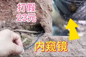 打假23元一个的内窥镜，它能看到肉眼看不到的东西？这是真的吗视频封面