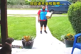 快递小哥送货时遇烈犬，原地不敢动不停“谈判”，结局太可爱视频封面