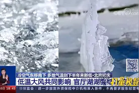 风继续刮！北京发布大风蓝色预警，局地阵风可达8级|共同关注视频封面
