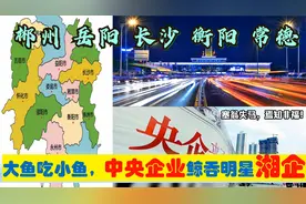 中央上收湖南长沙岳阳衡阳郴州等6大明星制造业，从此湘企变央企视频封面