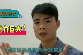 国际版抖音Tiktok,面向全球体量更大，起步阶段红利期！视频封面