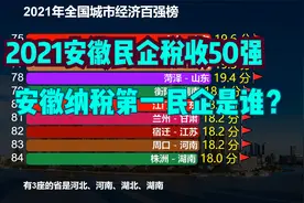 2021安徽民营企业纳税50强，京东方第3，口子酒第2，第一是是谁？视频封面