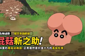 《蜡笔小新》屁菇新之助，正男居然是价值十万的高级松茸视频封面