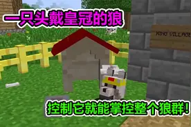 MC我的世界：一个头戴皇冠的狼，控制它就能控制整个狼群