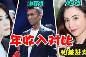 张柏芝年收入、谢霆锋年收入、王菲年收入，对比起来差距甚大视频封面