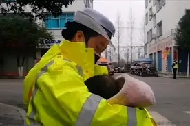 感人！女交警疫情防控点执勤间隙 哺乳孩子为一线民警点赞视频封面
