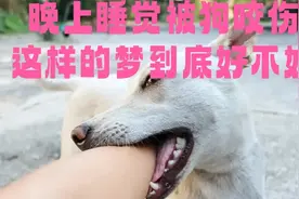 睡觉梦见被狗咬伤、这样的梦到底预示什么、如何解释这种现象视频封面