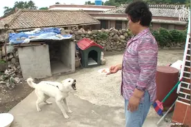 狗狗看到“女性”就发狂咬人，主人不知所措，医生说出了奇葩原因视频封面
