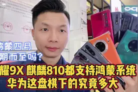 华为鸿蒙系统雷大雨小，升级计划再度曝光，这盘大棋会如期而至吗视频封面