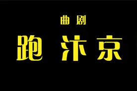 曲剧《跑汴京》刘艳丽 项英[高清版]视频封面