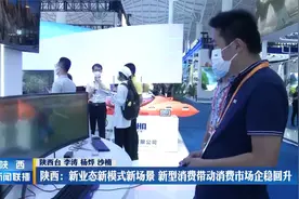 陕西：新业态新模式新场景 新型消费带动消费市场企稳回升视频封面