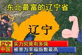 东北最富的辽宁省，实力究竟有多强，被誉为幸福指数最高的省视频封面