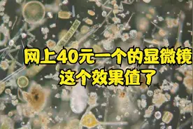 开箱一个40元的显微镜 说是可以放大1000倍 评测一下到底靠谱不视频封面