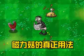 植物大战僵尸：磁力菇的真正用法，你确定知道？看完大开眼界！视频封面