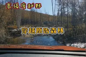 东北大环线：D26#高强度越野，穿越大兴安岭原始森林视频封面