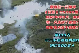 长征第198天·红三军团行至白水镇遭空军飞机轰炸，伤亡三百多人视频封面