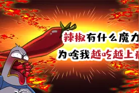辣椒有什么魔力，为啥越吃越上瘾？视频封面